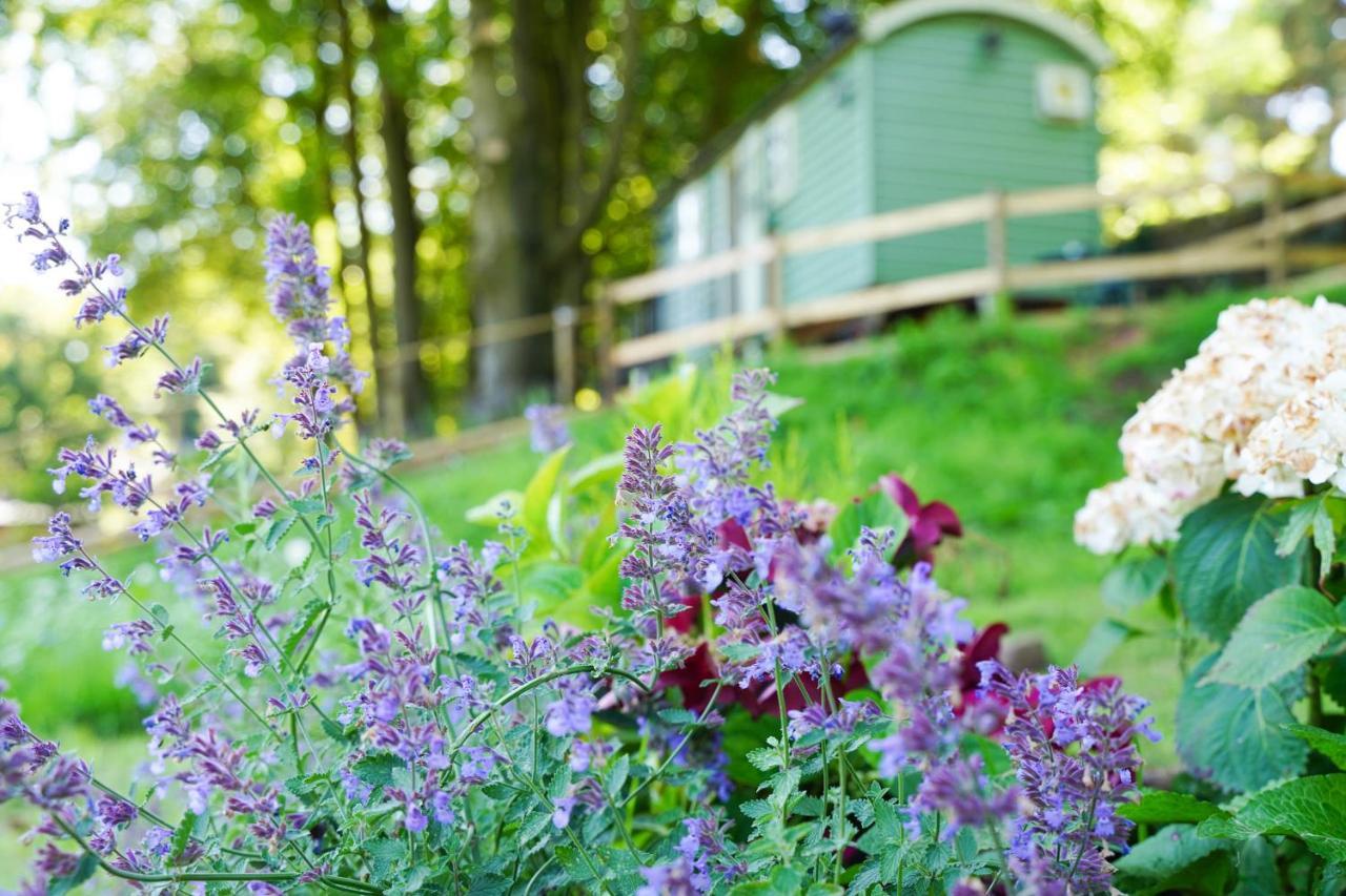 Maison d'hôtes Lavender Retreat With Private Hot Tub à Upper Hulme Extérieur photo